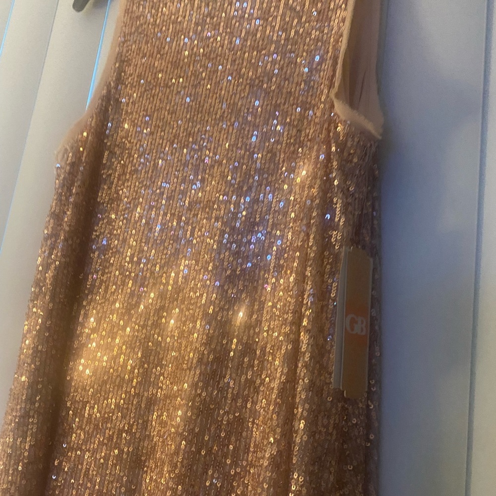 Rose Gold Sequin dress